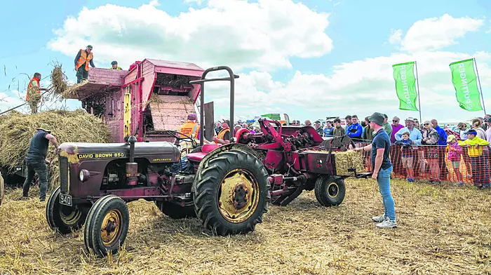 Thousands of people attended to see ploughing, old time threshing, barley harvesting, vintage cars and much more. Old time threshing at the working day. Picture: Andy Gibson.
