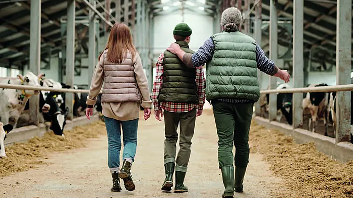 IFAC: Succession Planning – a conversation worth having early Image