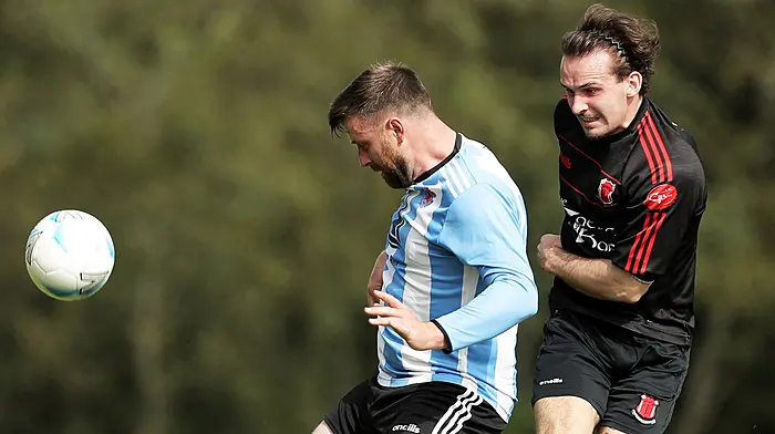 Fernandes brothers shine for Drinagh Rangers B in nine-goal rout of Baltimore Image