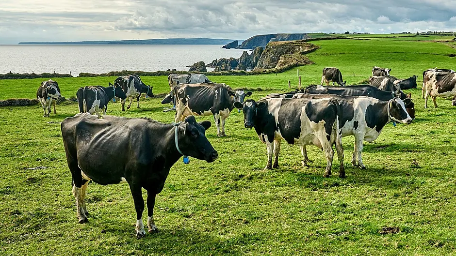 Farm Assist and the Rural Social Scheme Image