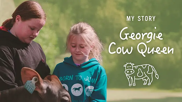 RTÉ Kids to air doc featuring Aherla girl and her champion calf Image
