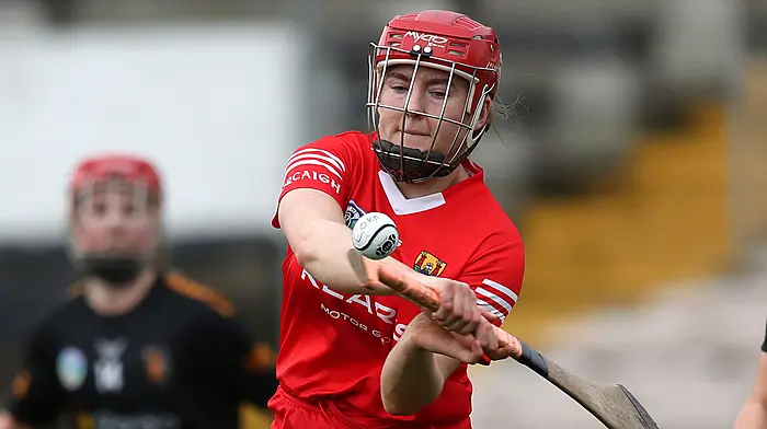 ‘This is another chance to show the quality of camogie players in Carbery’ Image