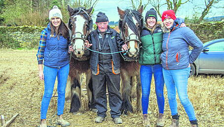 From the plough to the (Southern) stars Image