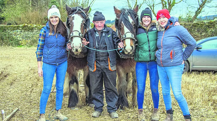 From the plough to the (Southern) stars Image