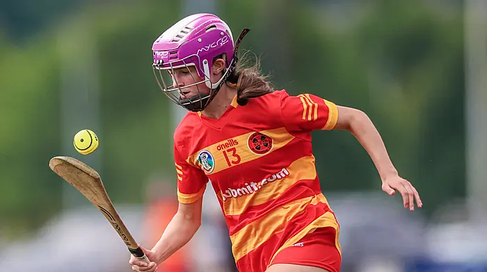 Grace Ryan fires Newcestown into premier intermediate camogie semi-finals Image