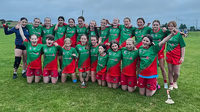 Five-star Clonakilty crowned Carbery U13 champions Image
