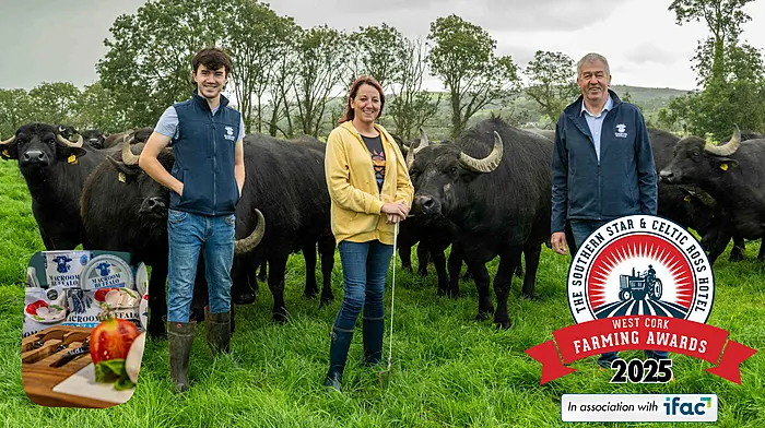Meet Johnny Lynch our September West Cork Farming Awards winner Image