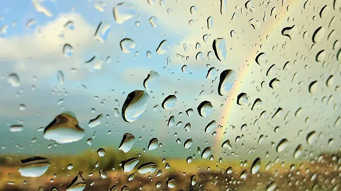 Yellow weather warning issued for West Cork Image