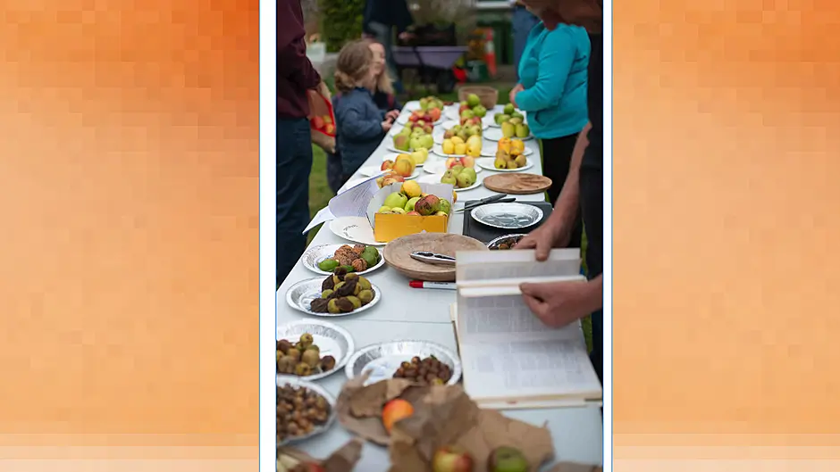 Celebrate autumn at the 2025 Harvest Fest Image