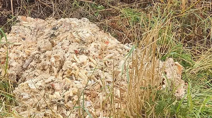 Fast food dumped in Skibbereen field Image