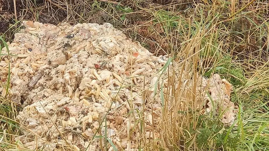 Fast food dumped in Skibbereen field Image
