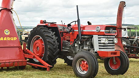FARM CLASSICS: If she’s not red, keep her in the shed Image