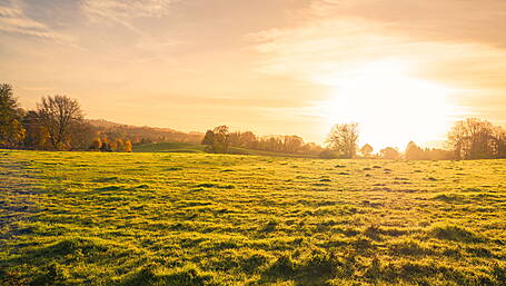 Council to report on agricultural importance Image