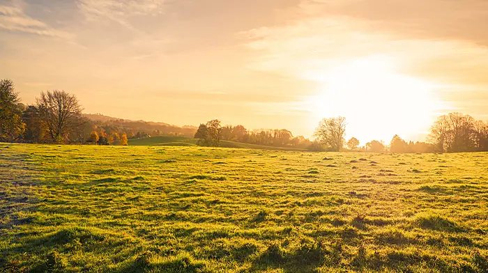 Council to report on agricultural importance Image