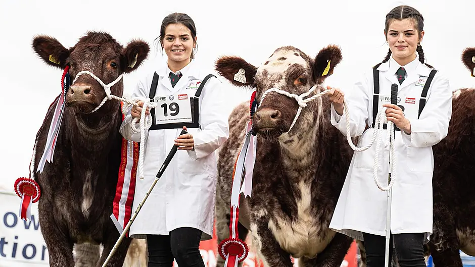 Salters and Shorthorns bring home the prizes Image