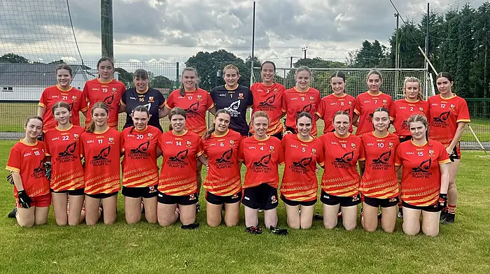 West Cork trio go in search of senior B glory Image