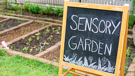 Skibbereen sensory garden offers a place of respectful reflection Image
