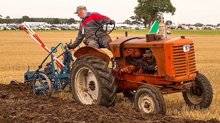 TAKING STOCK: Went to the National Ploughing Match, but forgot my plough Image
