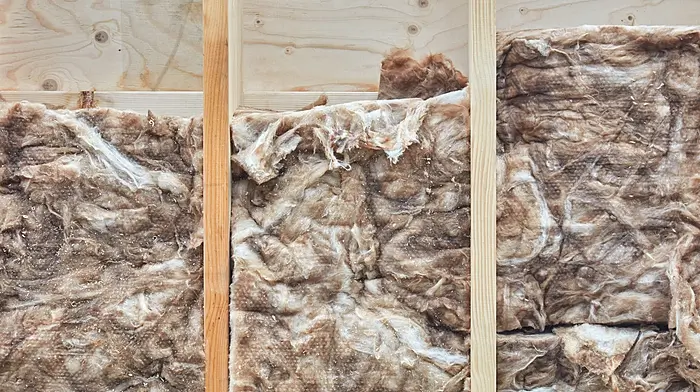 HOME & GARDEN: Your guide to insulating your home for winter Image