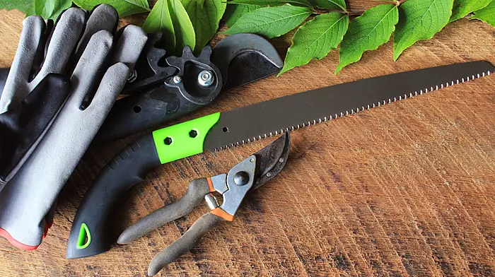 HOME & GARDEN: Your guide to the autumn garden jobs Image