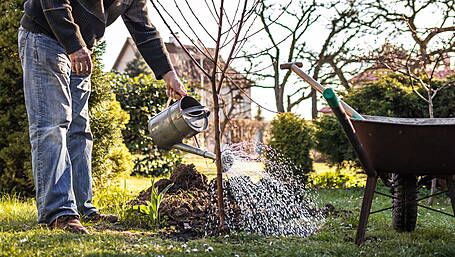 HOME & GARDEN: Ready, Set, Grow: Your Guide to October Planting Image