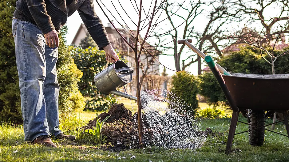 HOME & GARDEN: Ready, Set, Grow: Your Guide to October Planting Image