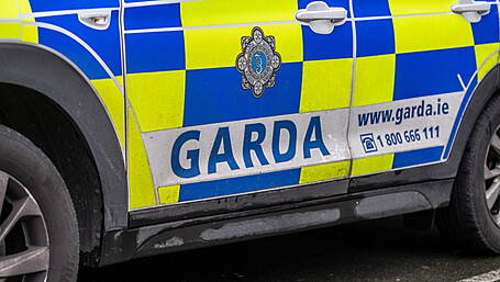 Gardaí investigate theft of 18 cattle in Skibbereen Image
