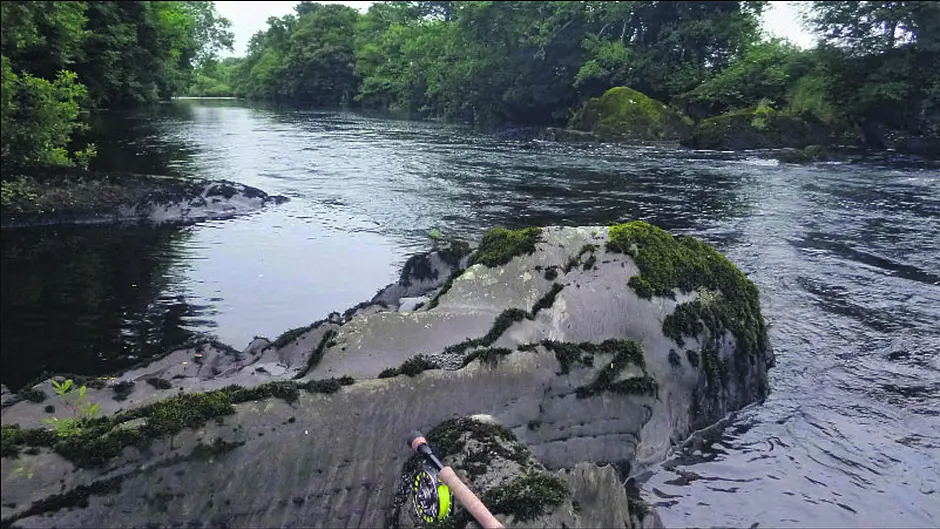 No alert over pollution at River Ilen for eight days Image