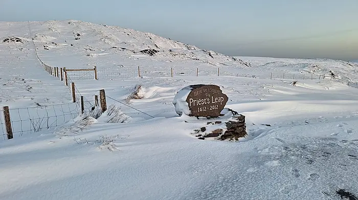 West Cork's Big Freeze Image