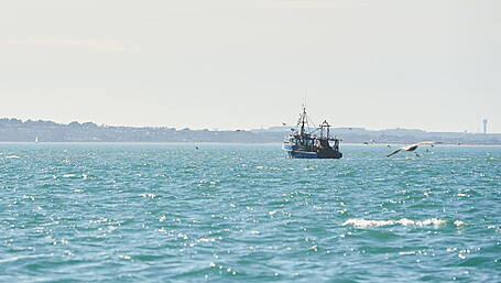Angling clubs invited to apply for funding Image