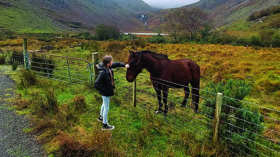 Reader's Picture of the Week Image
