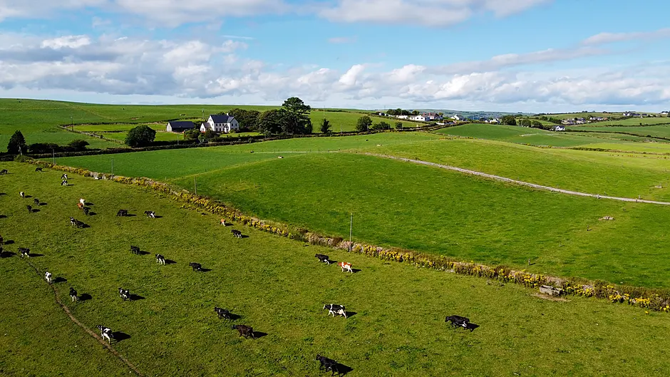 New scheme to help transitioning to organic farming Image