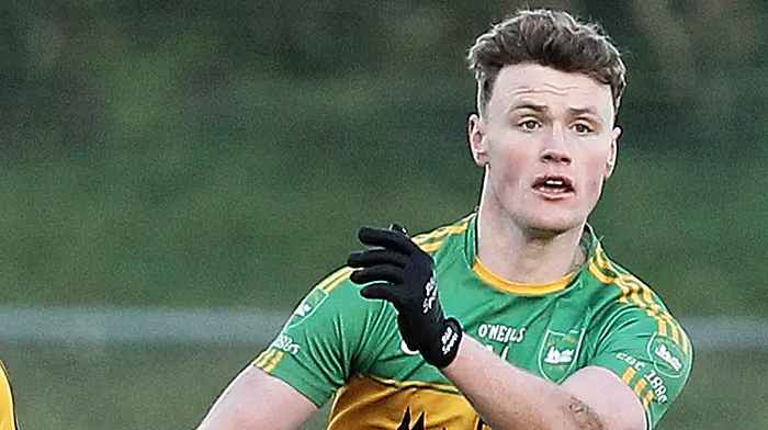 Kilmurry fall just short of place in All-Ireland final Image