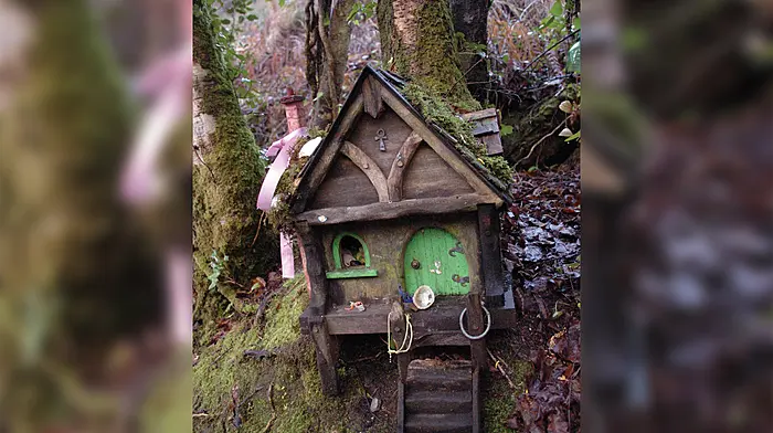 Why we’re so keen to hold onto the uniquely Irish folkore of the fairies Image