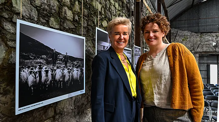 Joleen’s work on show at Cork Airport Image