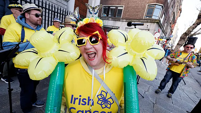 Community organisers urgently needed for Kinsale Daffodil Day Image