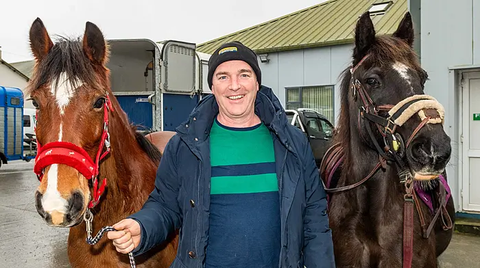 Gearoid Scully, Drinagh, with ‘Stella’ and ‘BB’ at the West Cork Chevals meet in Drinagh on January 12th, in aid of Maulatrahane National School, Leap. The cheval wound around country lanes for a total of 13km. (Photos: Andy Gibson)