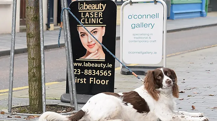 Plenty of time for decisions on Ashe Street, Clonakilty.    (Photo: Martin Walsh)