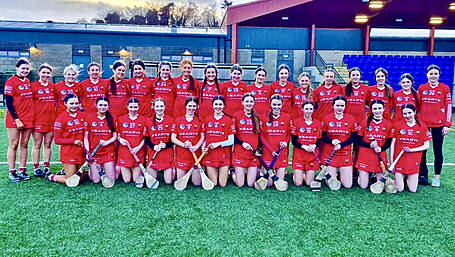 Carbery involvement in Cork camogie underage panels Image