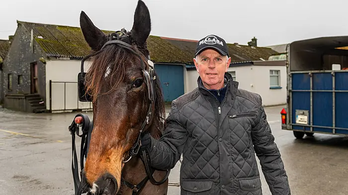 Andy Collins from Drinagh as the West Cork Chevals held its Drinagh cheval . (Photo: Andy Gibson)