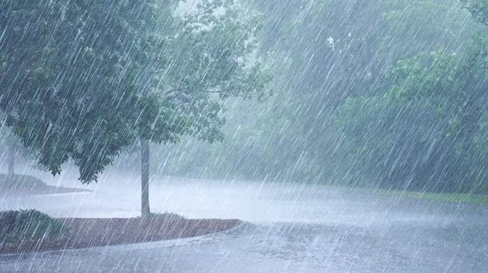 Cork Person of the Year Awards Lunch postponed due to Storm Éowyn Image