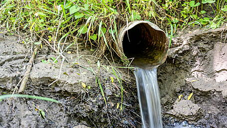 Signs of progress in effort to reduce nitrate pollution Image