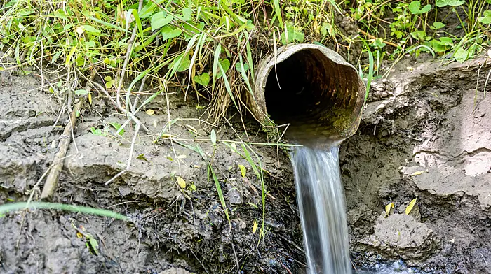 Signs of progress in effort to reduce nitrate pollution Image