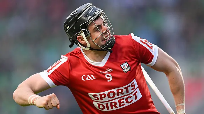 Can Cork hurlers make the jump from contenders to champions in 2025? Image