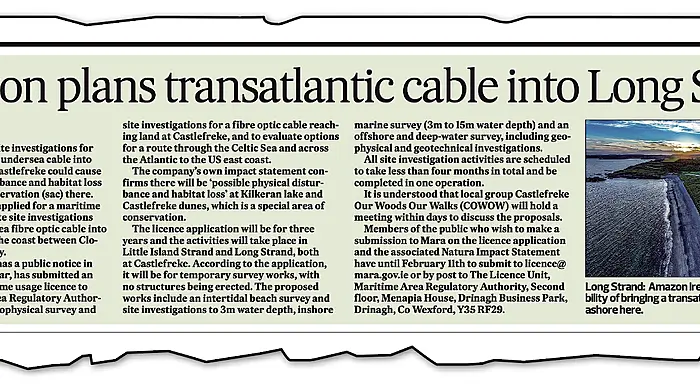 Social Democrats reps set to meet Amazon over plan for undersea cable at Long Strand Image