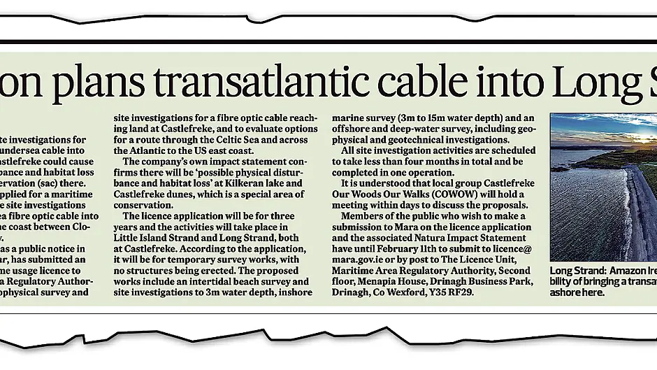 Social Democrats reps set to meet Amazon over plan for undersea cable at Long Strand Image
