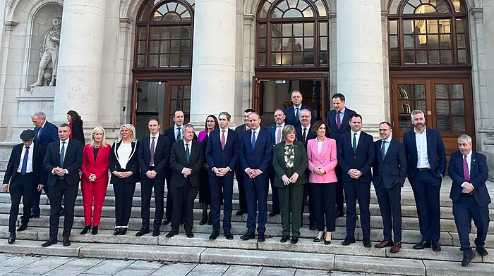 Christopher O’Sullivan and Michael Moynihan are junior ministers Image