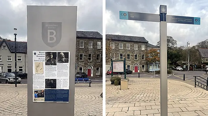 Council gives breakdown of Bantry signage costs Image