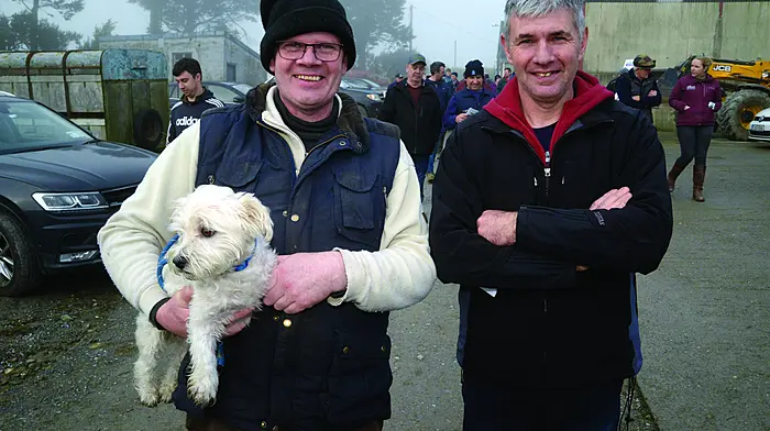 Clifford Buttimer and Stephen Collins at the CalfCare event in Ballinascarthy. (Photo: Denis Boyle)