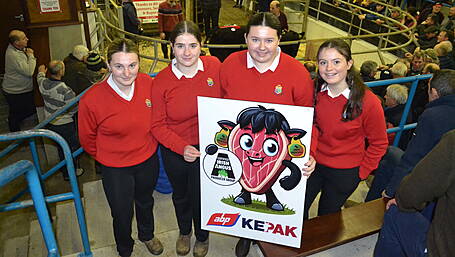 Clonakilty students learn on the job in Certified Angus competition Image
